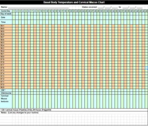 Body Temperature Tracker Template