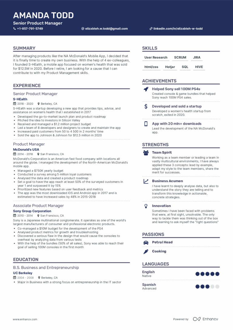 Professional CV Template