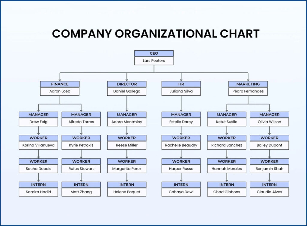 Organisation Chart Examples Informal Organization Chart Template